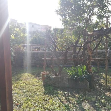 Dimora Coloniale B&B Forio di Ischia Екстериор снимка