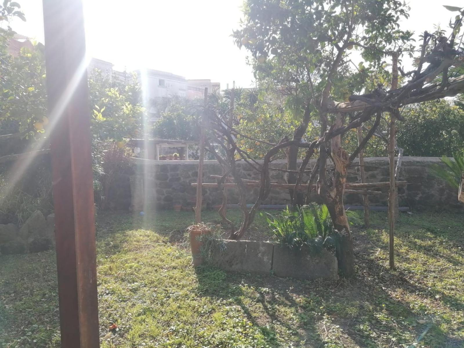 Dimora Coloniale B&B Forio di Ischia Екстериор снимка