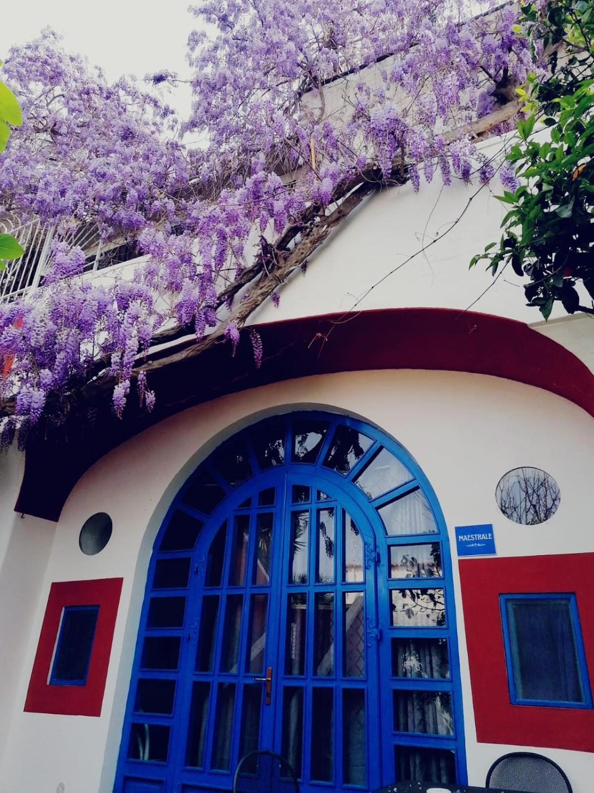 Dimora Coloniale B&B Forio di Ischia Екстериор снимка